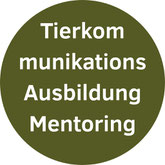 Mediale Online Ausbildung