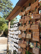 品川神社 絵馬 おみくじ