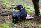 Jack mit seiner "Beute"