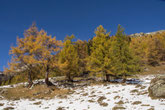Fafleralp