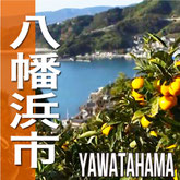 八幡浜市　YAWATAHAMA CITY