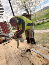 Ausschnitt für das Big Green Egg in einer massiven Eschenbohle während der Fertigung einer individuellen Outdoor-Küche nach Maß in Geisingen.
