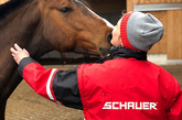 Active Horse stable systems preview Products-Competences Planning and Support Image Home