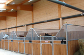 Active Horse stable systems preview Products-Competences Horse Box Stable Strohmatic Littering System Image Home