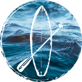 SUP mieten in rerik und kühlungsborn an der Ostsee, SUP Kurs ostseeurlaub
