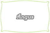 Rinderrasse | Angus | Mein BioRind