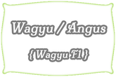 Wagyu x Angus | Mein BioRind