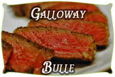 Gallowayfleisch | Mein BioRind