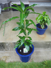 2020年04月　購入時