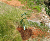 2018年12月　購入時