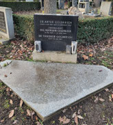 Grab von Dr. Theodor Goldreich (1880-1954)