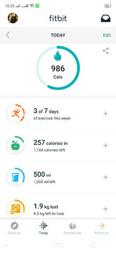 fitbit dashboard