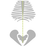 NeuroScanBalance und Orthopädie - Skelett