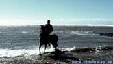 Reiten am Atlantik und FRANZÖSISCH Sprachkurs in Essaouira, Marokko