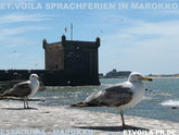 Marokko Kurzreise mit Französisch-Sprachkurs am Atlantik | etvoila-fr.de