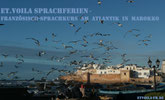 Effizienter Französisch-Sprachkurs in Essaouira am erholsamen Atlantik