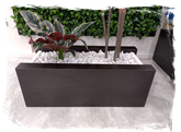 Blumenkasten für zwei Pflanzen