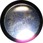 写真はどれもクリックで拡大