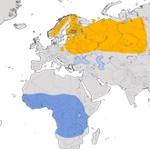 Karte zur Verbreitung der Doppelschnepfe (Gallinago media). 