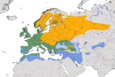 Karte zur Verbreitung des Rotkehlchens weltweit