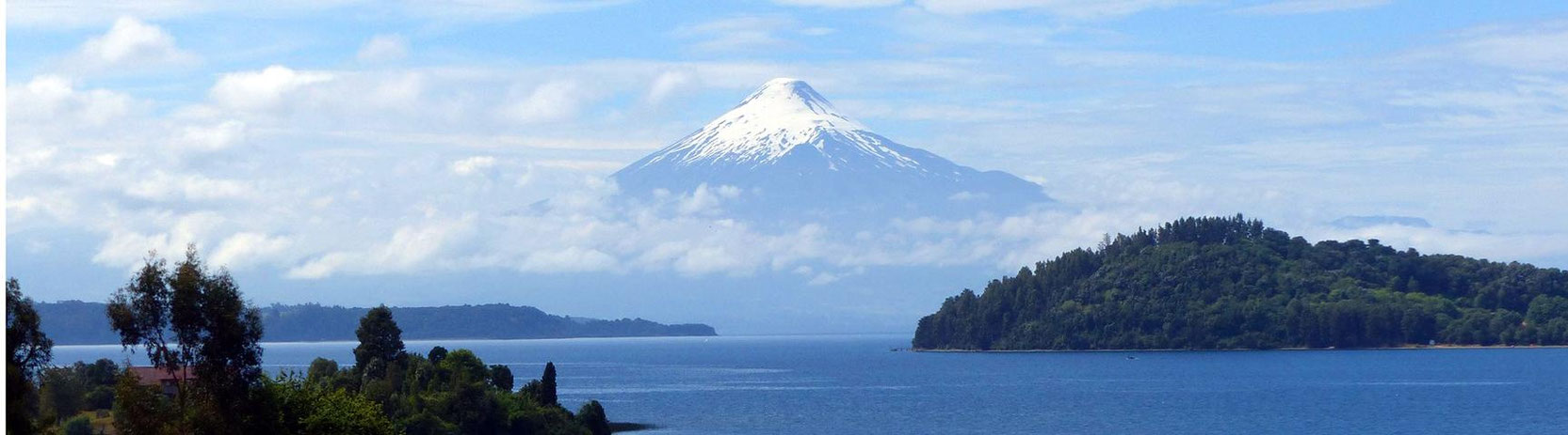 Chile Pure