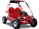 CLICK TO SEE GOKART ACCESSORIES