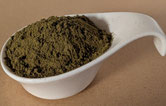 Bio Hanfprotein