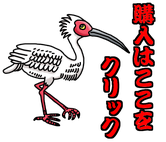 鳥　とり　トリ　フクロウ　インコ　オウム　孔雀　フラミンゴ