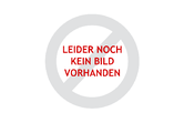 Kassenprüfer - Stefan Weber (accting)