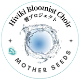 motherseedsofficegmailcom ページ！
