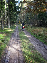 CRF250L-Erste Ausfahrten in der Nordheide