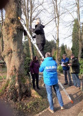 Aktive des NABU-Ennepe-Ruhr-Kreis reinigen Nistkästen  auf dem Friedhof an der Oehde, Schwelm (Foto: NABU-EN) 