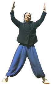 seances de qi gong a tours avec michele bordier - annuaire des therapeutes via energetica
