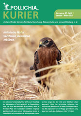 Zum Vergrößern anklicken