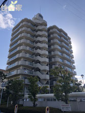 ライオンズマンション八戸ノ里