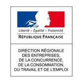 logo DIRECCTE