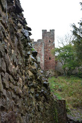 Kasimir, Cäsar, Fredi und Kerl besuchen William the Conqueror's Castle