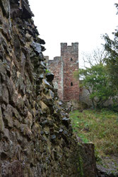 Kasimir, Cäsar, Fredi und Kerl besuchen William the Conqueror's Castle