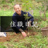 樹木葬の寺 天徳寺 住職日記