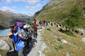 Wanderweg Turtmannhütte