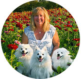 Lisa Socolik; WJSD; Official representative of World Japanese Spitz Day in USA; The United States of America; Japanese Spitz holiday; 