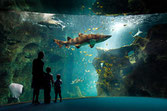 Aquarium de La Rochelle-11,4km
