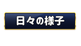 越谷ピアノ教室 Musica felice 日々の様子