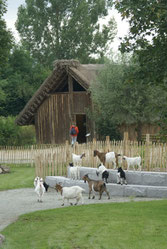 Foto: Tiergarten Straubing
