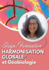 Formation en Harmonisation Globale® et Géobiologie  Lundi 7 et mardi 8 octobre 2024 - 9h/17h  Cécile Fancello, annuaire des therapeutes via energetica