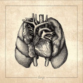 Regrowth - Lungs