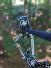 Karabiner im mobilen Seilaufbau – Flying Fox als kooperative Teamaufgabe im Wald mit Auf-bäumen Teamtraining.