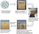 Illustration of the growth pouch method, Zhang et al. 2015 