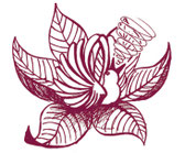 Illustration Héloïse Cuny