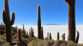 Bolivien, Salar de Uyuni - Sept. 2025